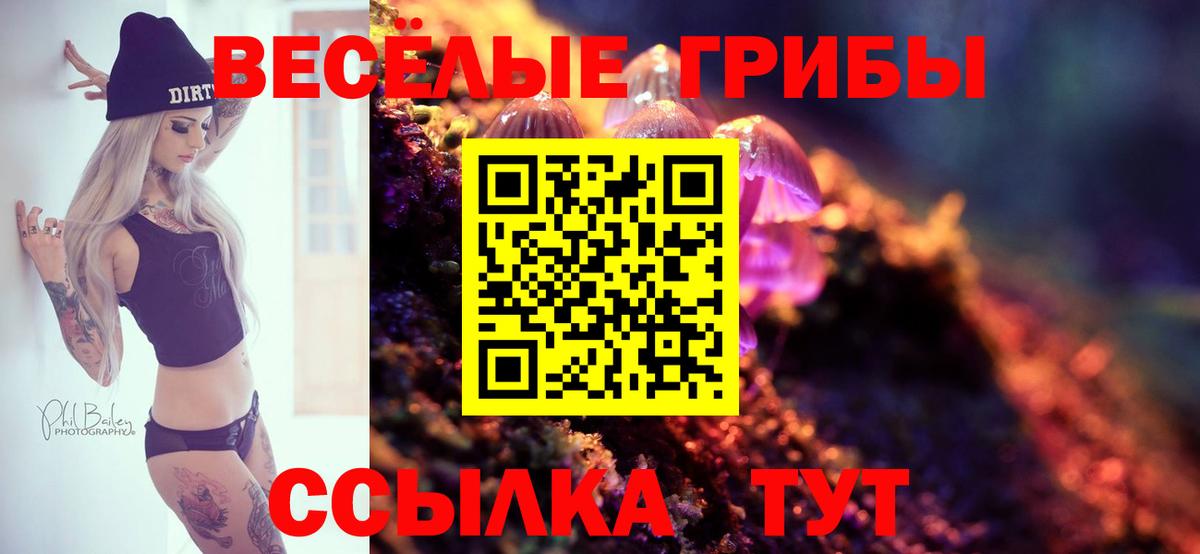 Псилоцибиновые грибы Psilocybe  Вход с VPN  Березники 